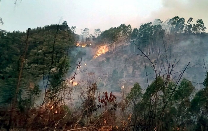 11.09.2024 - Homem é preso suspeito de iniciar incêndio em Marechal Floriano