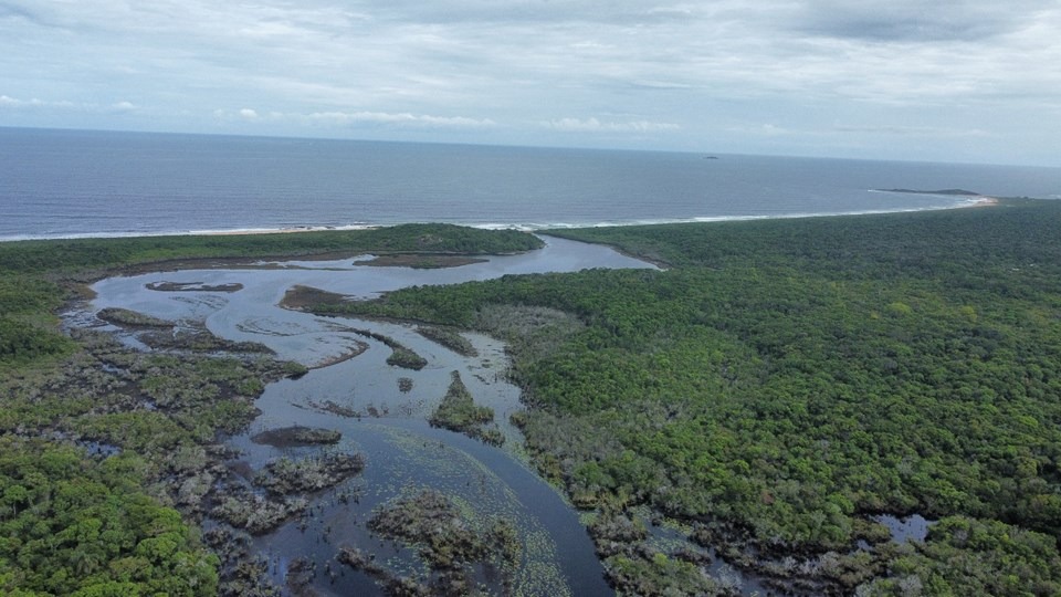 16.01.2025 - Trilhas e lagoa do Parque Estadual Paulo César Vinha estão abertas ao público novamente|||Fotógrafo: Hilton Monteiro Cristovão