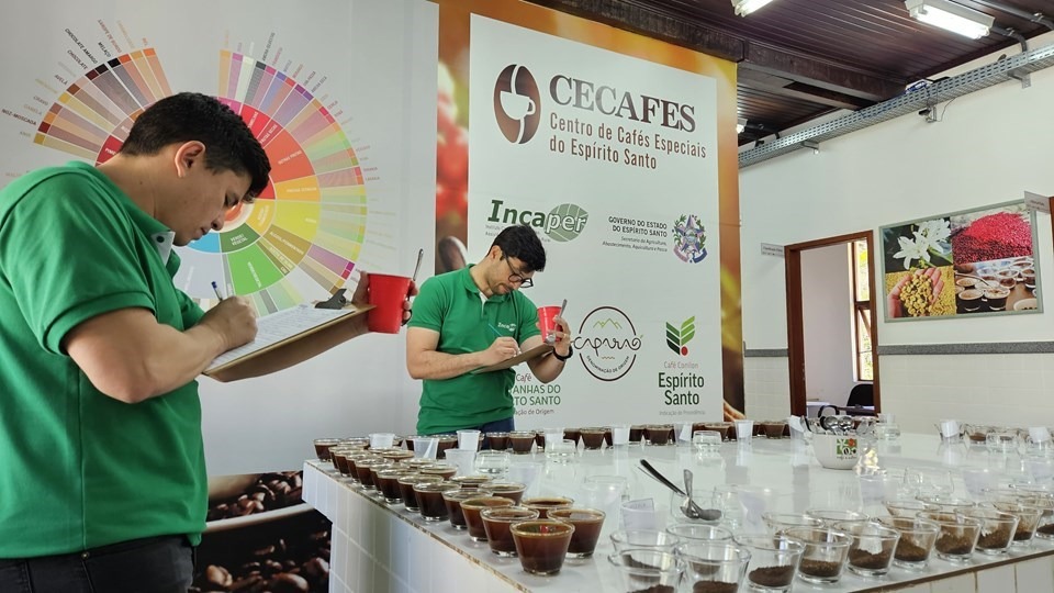 16.08.2024 - Governo do Espírito Santo abre inscrições para o 3º Prêmio de Cafés Especiais
