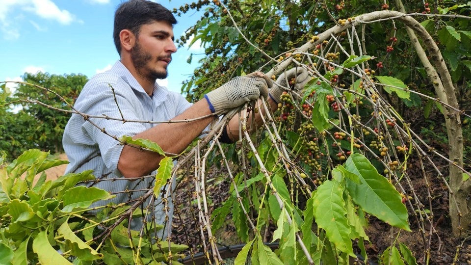 17.10.2024 - Governo do Estado publica novo decreto para fomento a negócios de impacto socioambiental