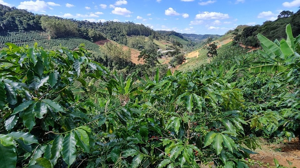 20.09.2024 - Como fica a agricultura capixaba com o Estado de Alerta sobre a situação hídrica no Espírito Santo