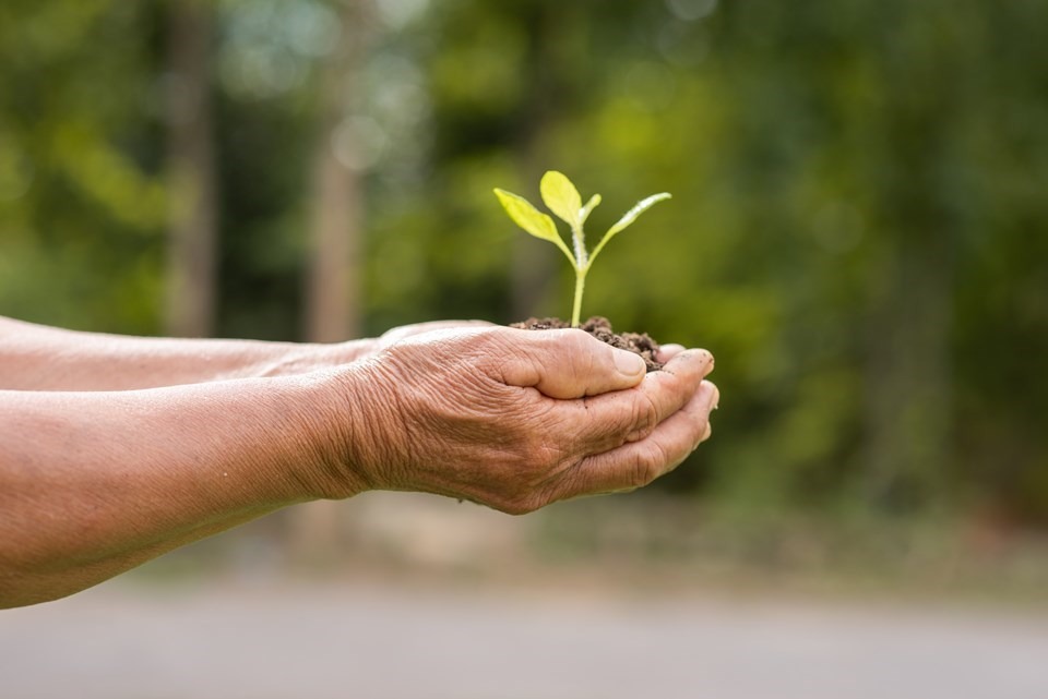 21.06.2024 - Governo do Estado promove Sustentabilidade Brasil -  a maior conferência nacional sobre sustentabilidade e ESG