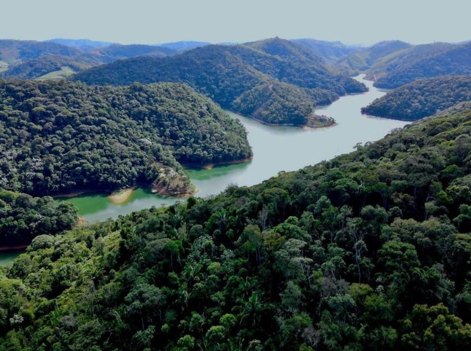 27.05.2024 - Dia Nacional da Mata Atlântica - Espírito Santo registra diminuição de quase 33 no número de desmatamento ilegal